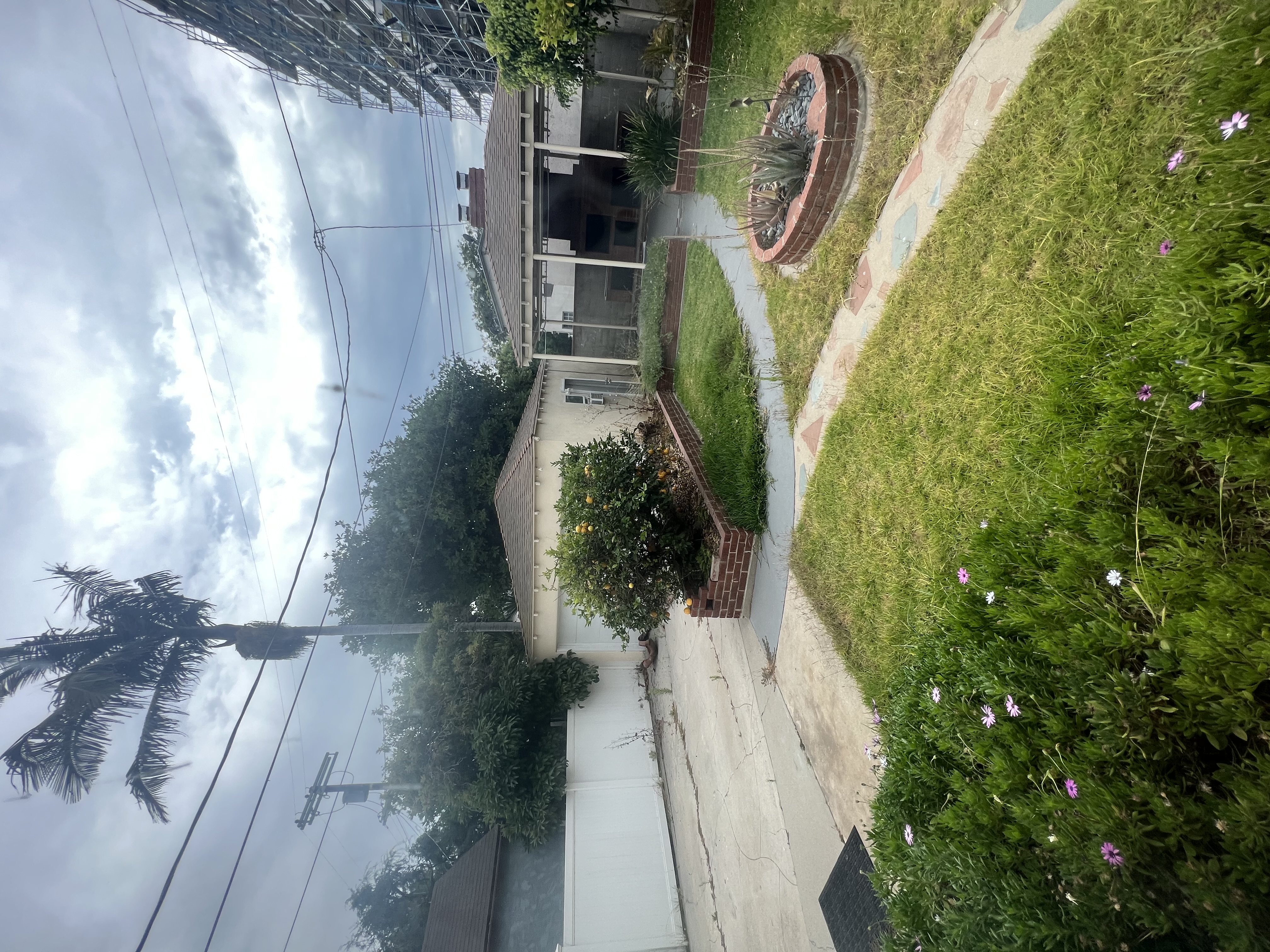 Before: original undeveloped lot
